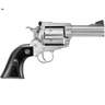 Ruger New Model Super Blackhawk 44 Magnum 3.75in Stainless Revolver - 6 Rounds