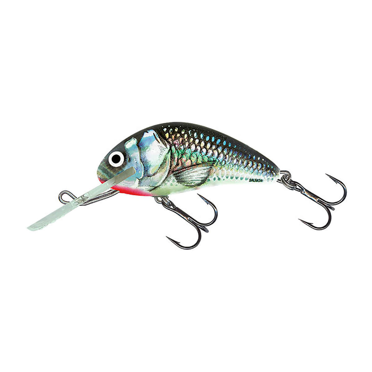 Salmo Hornet 5 Floating Crankbait - Holographic Grey Shiner, 1/4oz, 2in, 6.5-15ft - Holographic Grey Shiner Salmo Hornet 5 Floating Crankbait - Holographic Grey Shiner, 1/4oz, 2in, 6.5-15ft - Holographic Grey Shiner