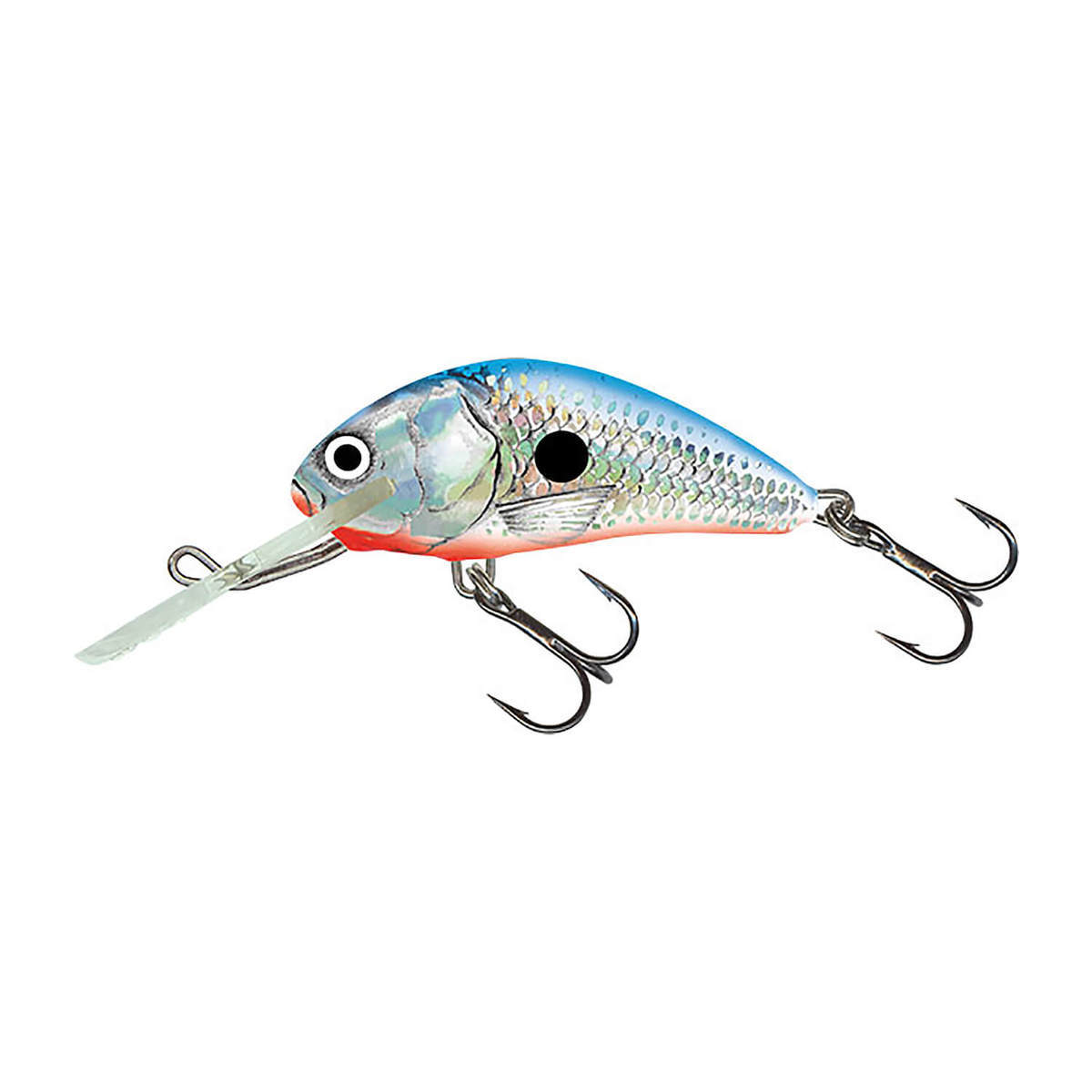 Salmo Hornet Floating Crankbait - Silver Blue Shad, 1/16oz, 1-5/8in, 5-10ft - Silver Blue Shad Salmo Hornet Floating Crankbait - Silver Blue Shad, 1/16oz, 1-5/8in, 5-10ft - Silver Blue Shad