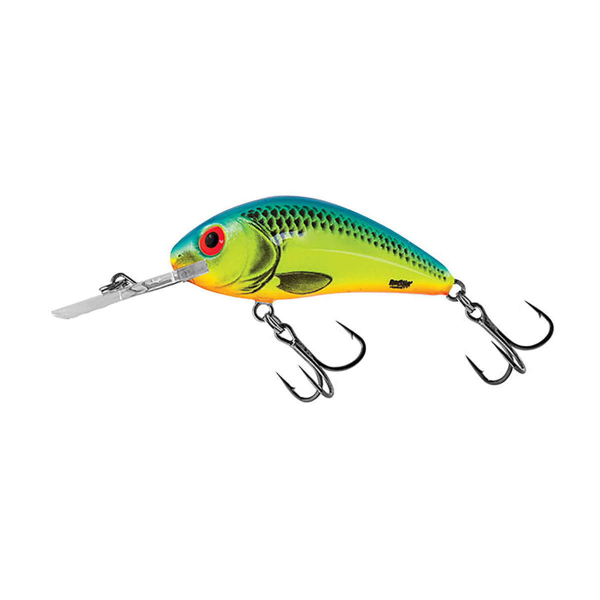Salmo Rattlin Hornet Floating Round Bill Medium Diving Crankbait Salmo Rattlin Hornet Floating Round Bill Medium Diving Crankbait