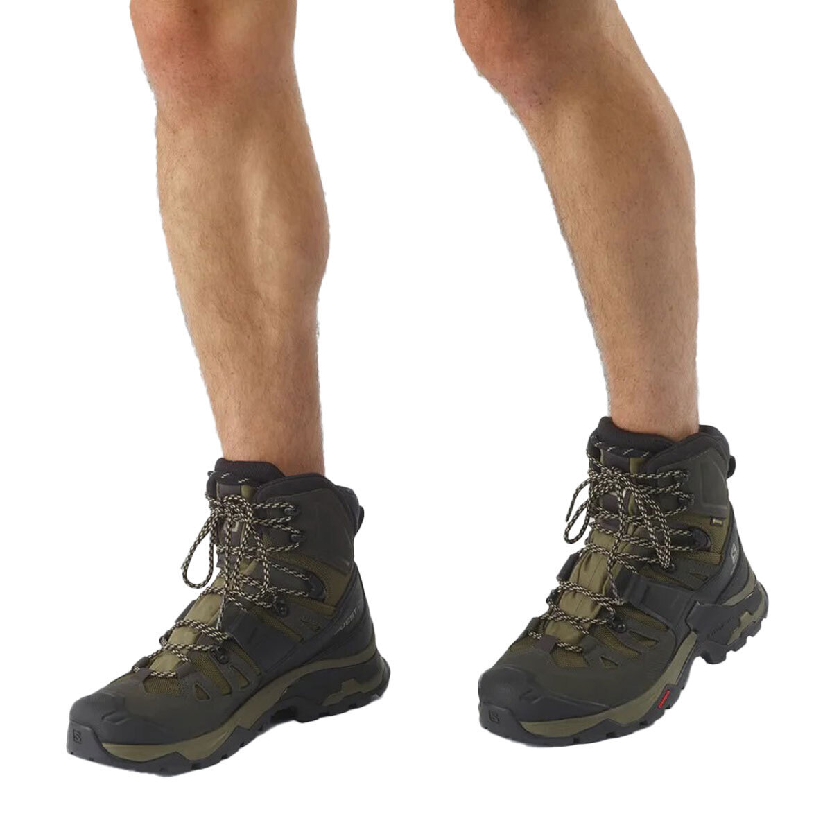 Salomon Men's Quest 4 GORE-TEX High Hiking Boots Salomon Men's Quest 4 GORE-TEX High Hiking Boots
