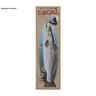 Salty Bones Fish Window Decal - Speckled Trout - Speckled Trout 5.8