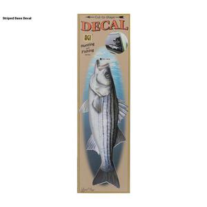 Salty Bones Fish Window Decal - Striped Bass