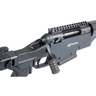 Savage 10 Ashbury Precision Bolt Action Rifle
