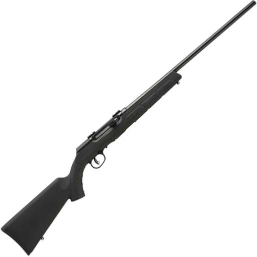 Savage Arms A17 Black Case Hardened Semi Automatic Rifle - 17 HMR - 22in - Black image