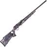 Savage Arms A17 Target Case Hardened Black Semi Automatic Rifle - 17 HMR - 22in - Gray