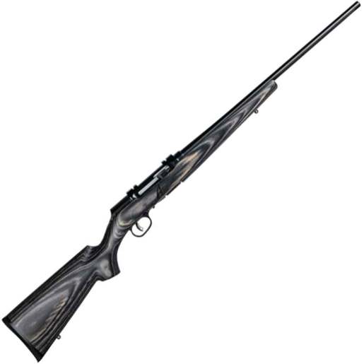 Savage Arms A17 Target Sporter Black Semi Automatic Rifle - 17 HMR - 22in - Gray image