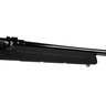 Savage A22 Magnum Semi-Auto Rifle - Black