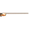 Savage Arms 10/110 Storm Stainless/American Flag Bolt Action Rifle - 243 Winchester - American Flag
