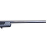 Savage Arms 110 Apex Hunter XP Scoped Black Bolt Action Rifle - 450 Bushmaster - Matte Black