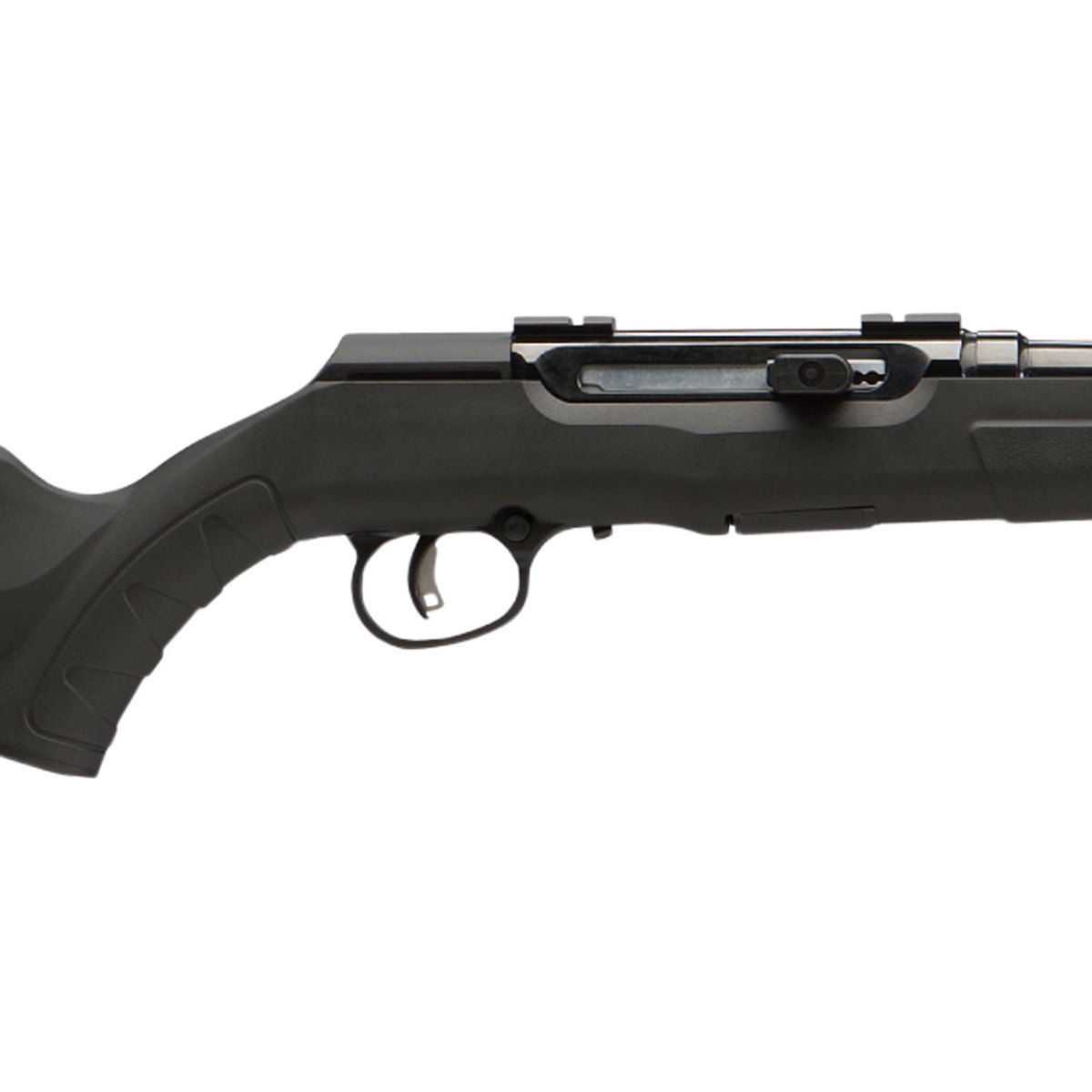 Savage Arms A17 HM2 Black Semi Automatic Rifle - 17 Mach 2 - Black Savage Arms A17 HM2 Black Semi Automatic Rifle - 17 Mach 2 - Black