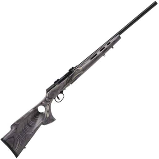 Savage Arms A22 Satin Black Metal Gray Semi Automatic Target Rimfire Rifle - 22 WMR (22 Mag) - 22in - Gray image