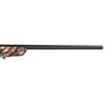 Savage Arms Axis II American Flag Bolt Action Rifle - 30-06 Springfield - American Flag