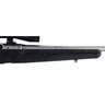 Savage Arms Axis II XP Stainless Bolt Action Rifle - 22-250 Remington - 22in