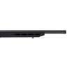 Savage Arms B17 Precision Black Bolt Action Rifle - 17 HMR - Black