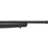 Savage Arms B22 FV-SR Matte Black Bolt Action Rifle - 22 Long Rifle - 16.25in - Black