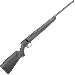 Savage Arms B17 F Blued Bolt Action Rifle - 17 HMR - 21in