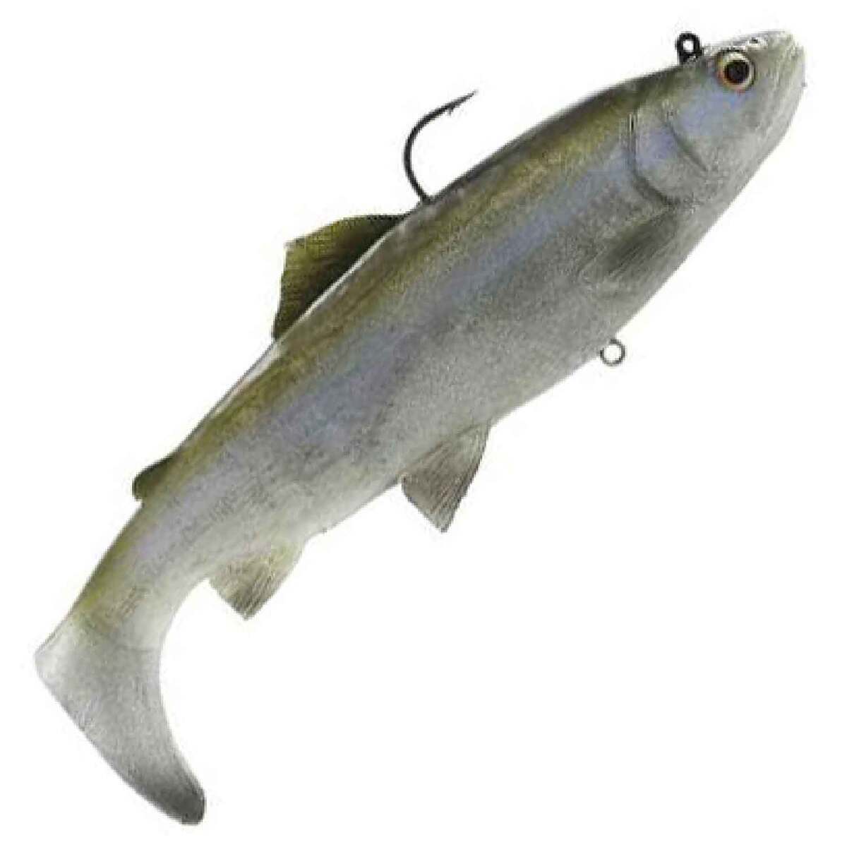 Savage Gear 3D Real Trout - Hitch - 8in