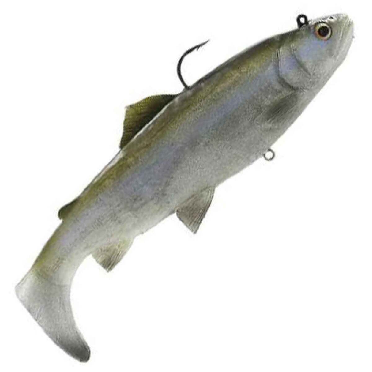 Savage Gear 3D Real Trout Swimbait Savage Gear 3D Real Trout Swimbait