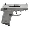 SCCY CPX-1 Gen3 9mm Luger 3.1in Stainless Steel Pistol - 10+1 Rounds - Gray