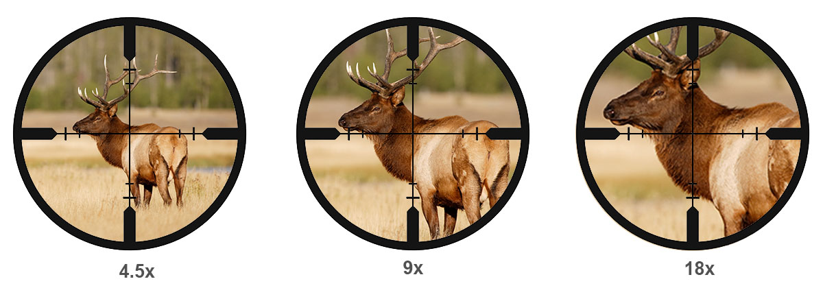 How to Choose a Rifle Scope | Sportsman's Warehouse