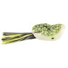 Scum Frog Popper Frog - Glow Black/Chartreuse, 2in - Night Image