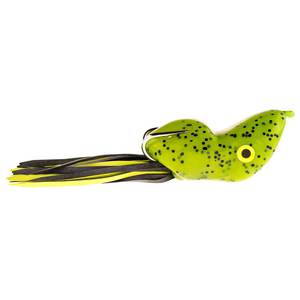 Scum Frog Popper Frog - Watermelon Seed, 2in