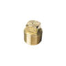 SeaChoice Gardboard Drain Plug - Brass - Brass Fits 1/2in Pipe