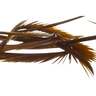 Semperfli Natural Range Goose Biots Fly Tying Feathers