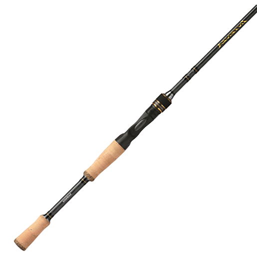 Shimano Intenza A Casting Rod – Black