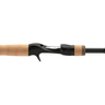 Shimano NRX+ Inshore Saltwater Casting Rod