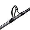 Shimano Terez BW High Speed Saltwater Casting Rod