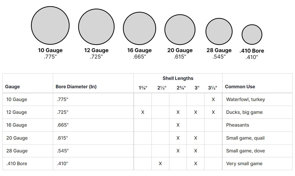 Shotgun gauge size, shell length, common use chart