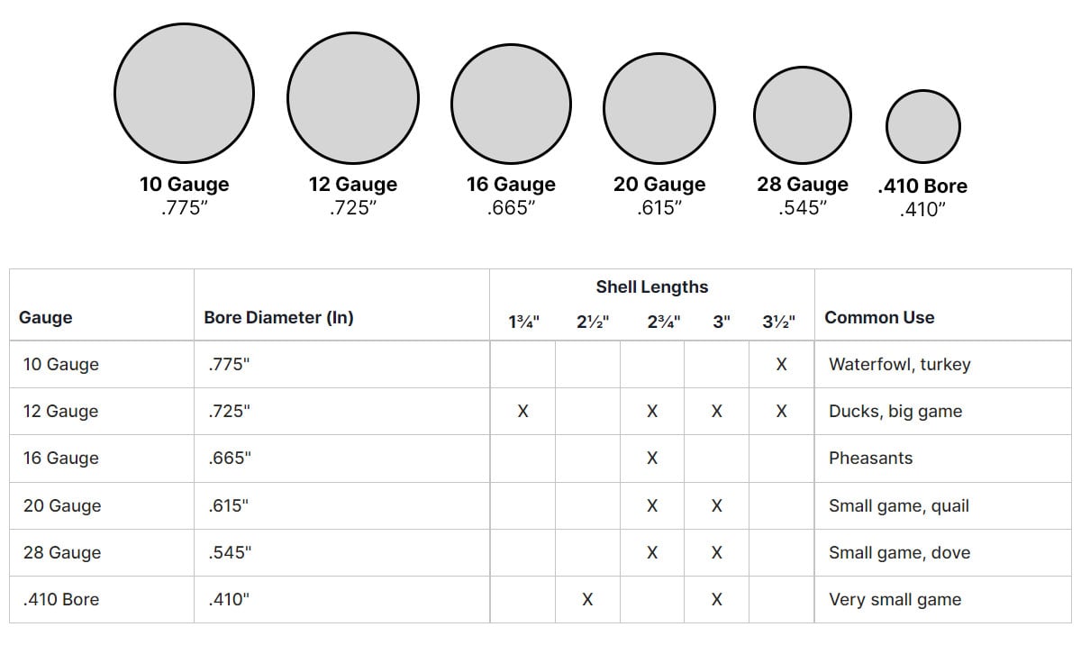 Shotgun Gauge Size Chart