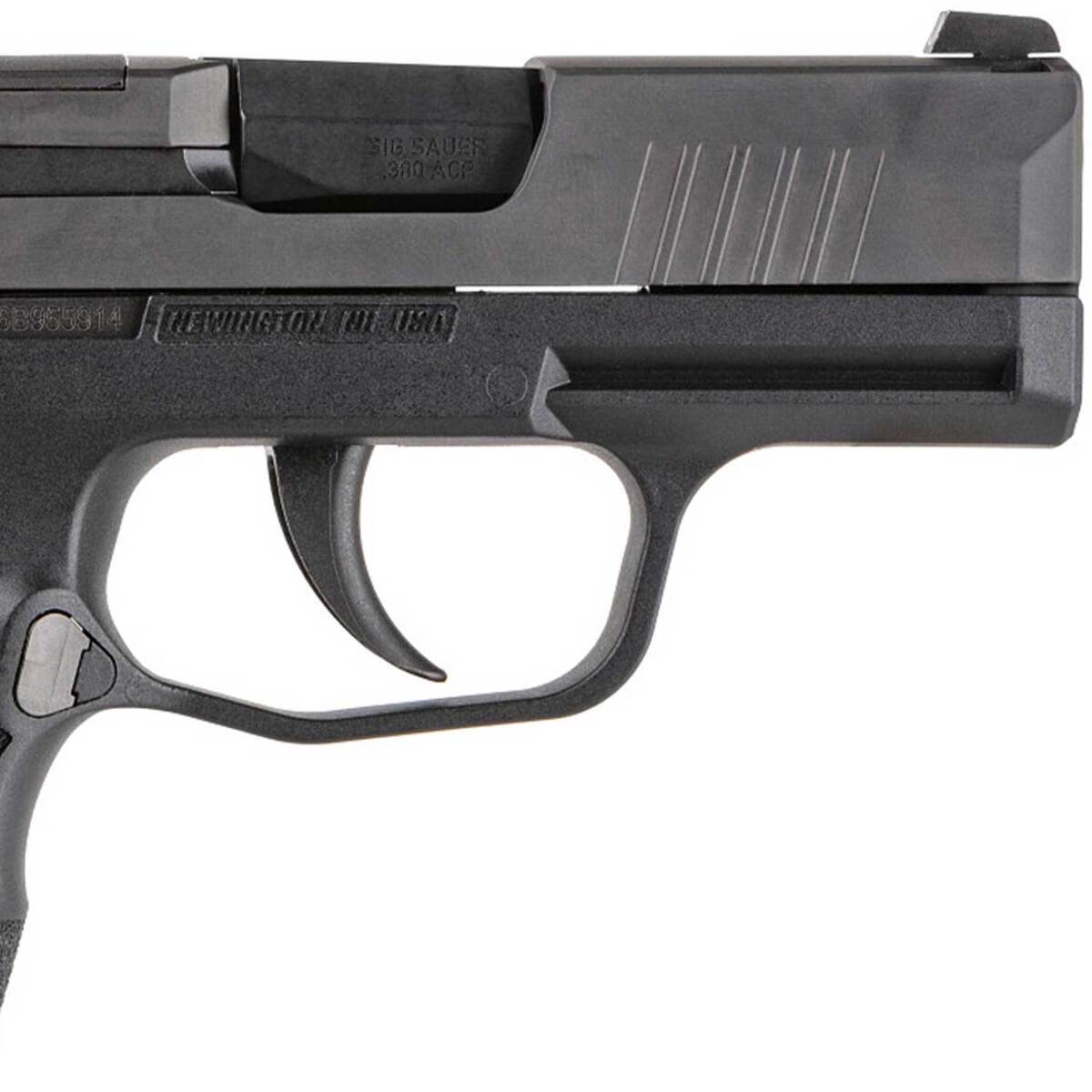 Sig Sauer P365 380 Auto (ACP) 3.1in Black Pistol - 10+1 ...