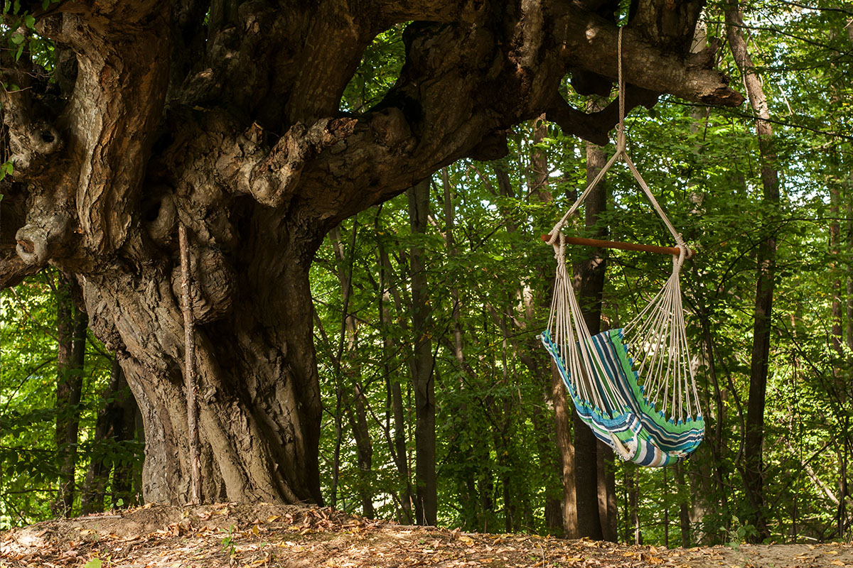 Single-Point Hammock