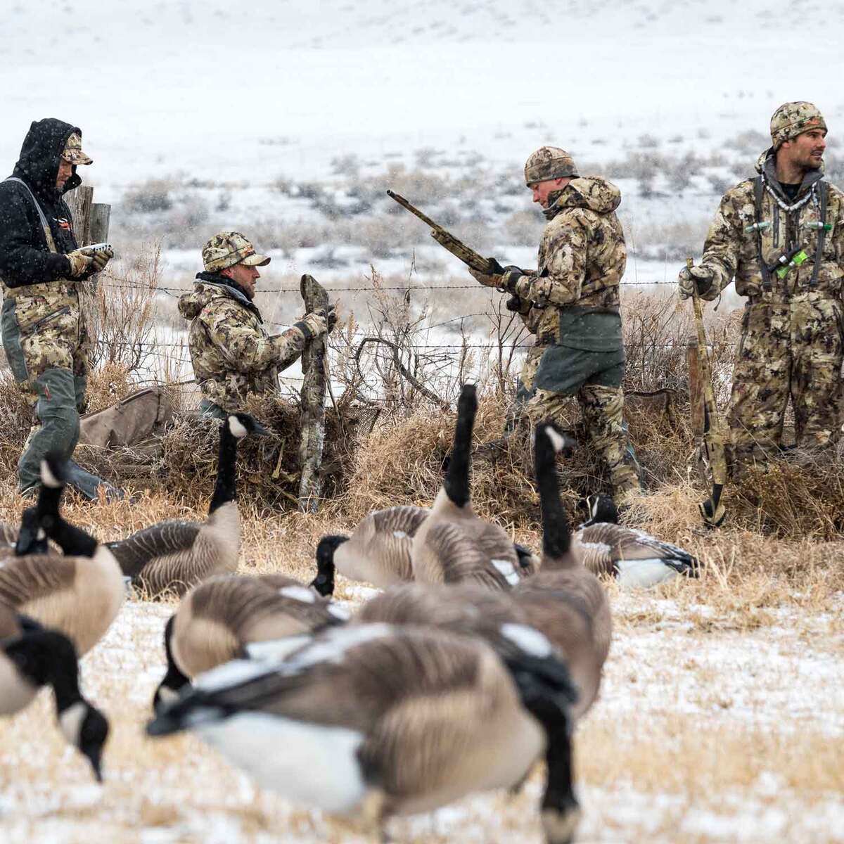Sitka Boreal WS Beanie WL - Waterfowl Marsh - One Size Fits Most - Waterfowl Marsh One Size Fits Most Sitka Boreal WS Beanie WL - Waterfowl Marsh - One Size Fits Most - Waterfowl Marsh One Size Fits Most