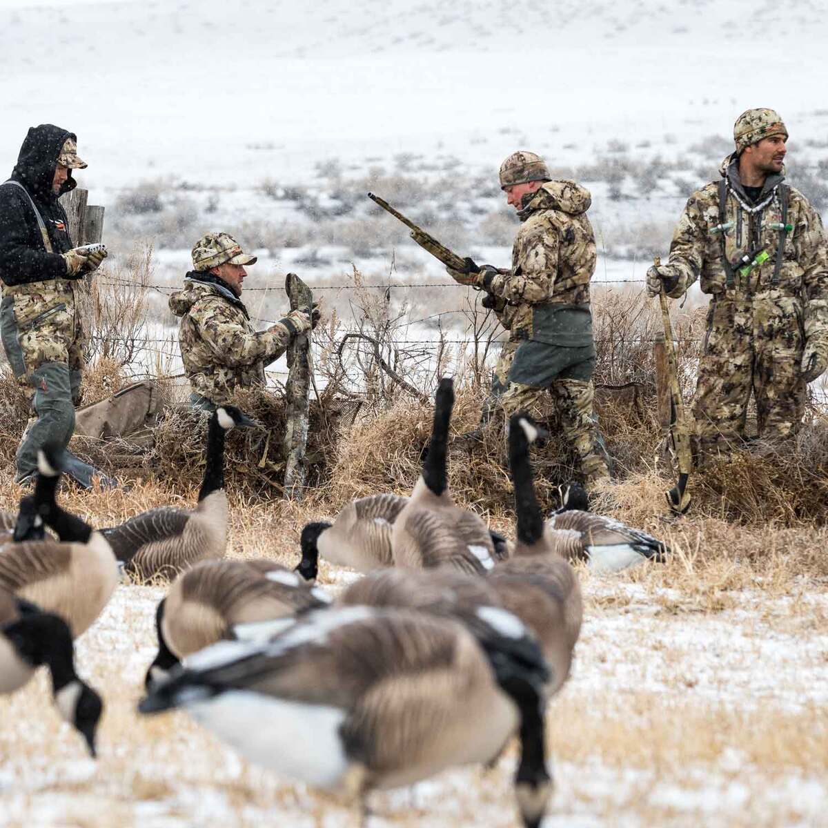 Sitka Gear Boreal Beanie - Waterfowl Timber - One Size Fits Most - Waterfowl Timber One Size Fits Most Sitka Gear Boreal Beanie - Waterfowl Timber - One Size Fits Most - Waterfowl Timber One Size Fits Most