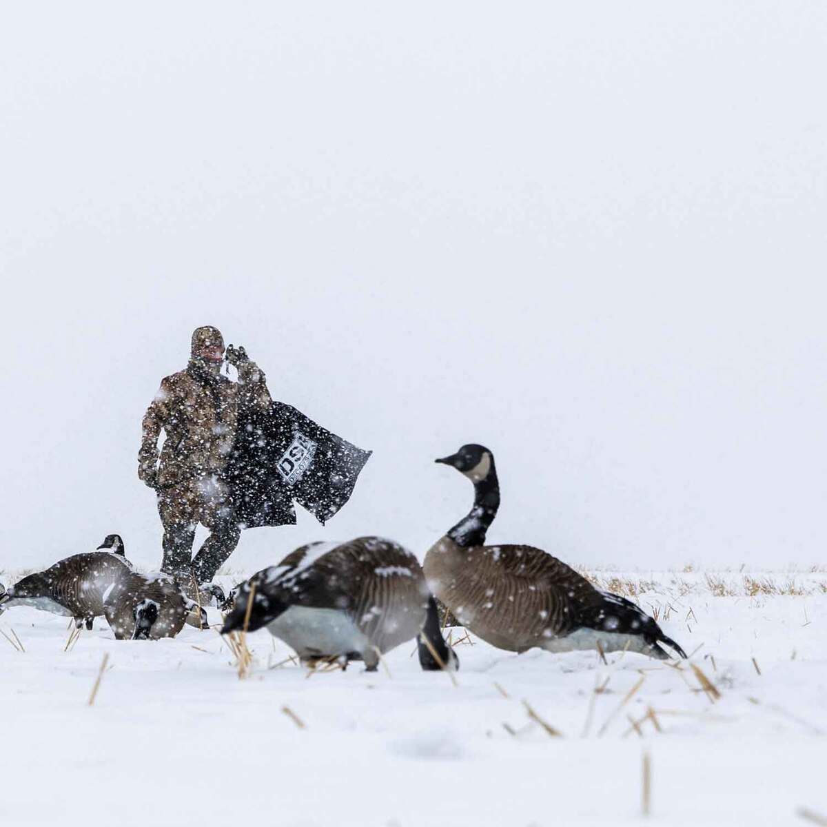 Sitka Gear Boreal Beanie - Waterfowl Timber - One Size Fits Most - Waterfowl Timber One Size Fits Most Sitka Gear Boreal Beanie - Waterfowl Timber - One Size Fits Most - Waterfowl Timber One Size Fits Most