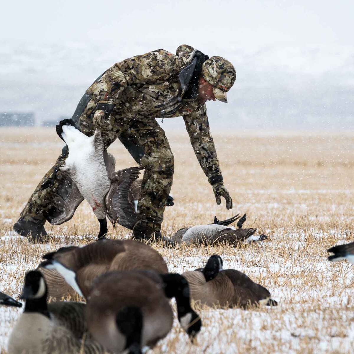 Sitka Gradient Pants - Waterfowl Timber Sitka Gradient Pants - Waterfowl Timber