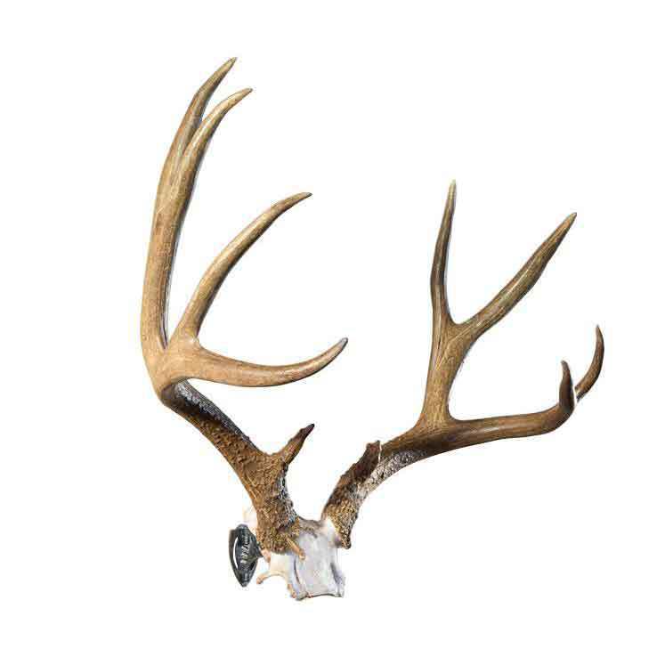 Skull Hooker Bone Bracket - Black Skull Hooker Bone Bracket - Black