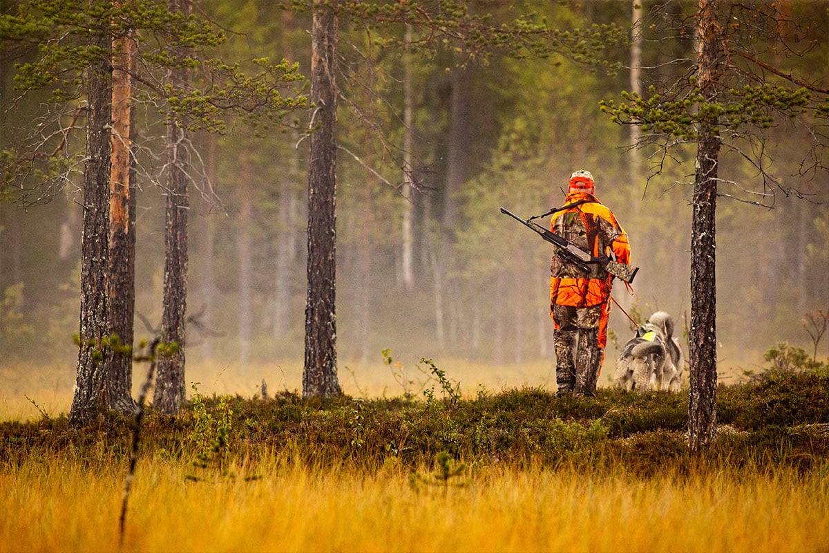 Man and dog small game hunting