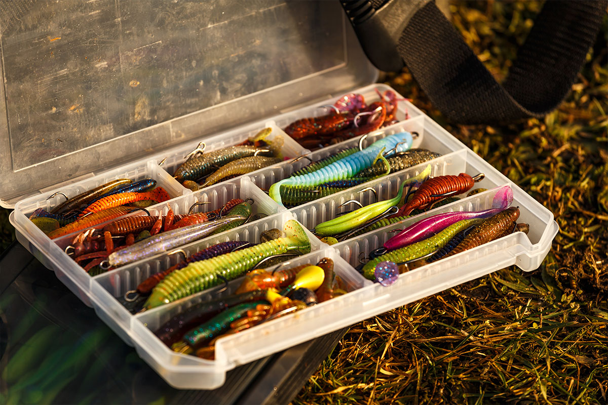 Smallmouth bass fly fishing worms in a takle box