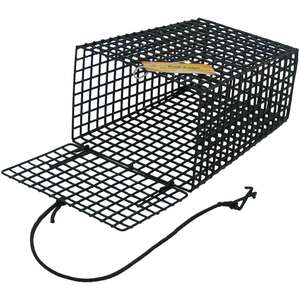 SMI Tapered Green Crab Trap Bait Cage