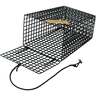 SMI Tapered Green Crab Trap Bait Cage - Green