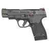 Smith & Wesson M&P 9 Shield Plus 9mm Luger 4in Black Armornite Pistol - 13+1 Rounds - Matte Black