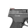 Smith & Wesson M&P 9 Shield Plus 9mm Luger 4in Black Armornite Pistol - 13+1 Rounds - Black