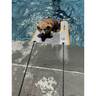Solstice Watersports Infatable Pup Plank - Small - Gray