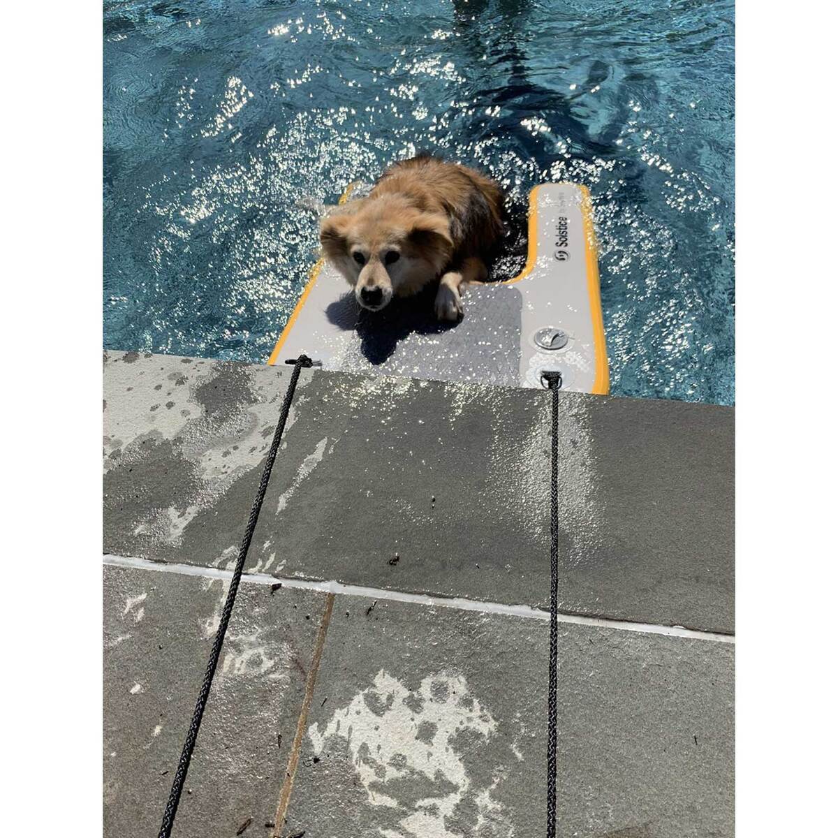 Solstice Watersports Infatable Pup Plank - Small - Gray Solstice Watersports Infatable Pup Plank - Small - Gray