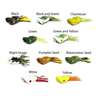 Southern Lure Scum Frog Popper